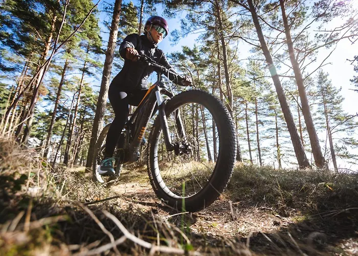 Szálloda Regatta 4*